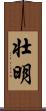 壮明 Scroll