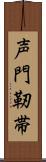 声門靭帯 Scroll
