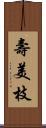 壽美枝 Scroll