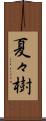 夏々樹 Scroll