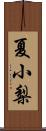 夏小梨 Scroll