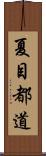 夏目都道 Scroll