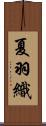 夏羽織 Scroll