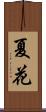夏花 Scroll