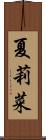 夏莉菜 Scroll