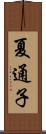 夏通子 Scroll