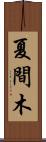 夏間木 Scroll