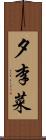 夕李菜 Scroll