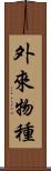 外來物種 Scroll