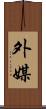外媒 Scroll