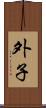 外子 Scroll