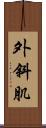 外斜肌 Scroll