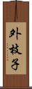 外枝子 Scroll