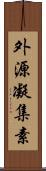 外源凝集素 Scroll