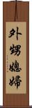 外甥媳婦 Scroll