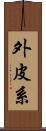 外皮系 Scroll