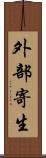 外部寄生 Scroll