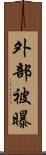 外部被曝 Scroll