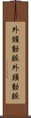 外頸動脈 Scroll