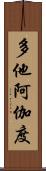 多他阿伽度 Scroll