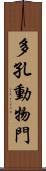 多孔動物門 Scroll