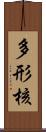 多形核 Scroll