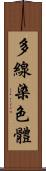 多線染色體 Scroll