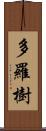 多羅樹 Scroll