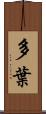 多葉 Scroll