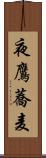 夜鷹蕎麦 Scroll