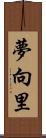 夢向里 Scroll