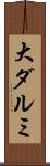 大ダルミ Scroll