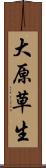 大原草生 Scroll