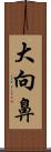 大向鼻 Scroll