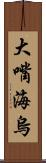大嘴海烏 Scroll