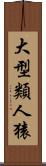 大型類人猿 Scroll