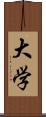 大学 Scroll