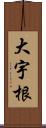 大宇根 Scroll