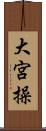大宮操 Scroll