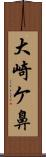 大崎ケ鼻 Scroll