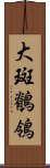 大斑鶺鴒 Scroll