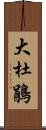 大杜鵑 Scroll