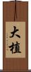 大植 Scroll