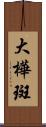 大樺斑 Scroll