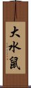 大水鼠 Scroll