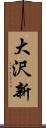大沢新 Scroll