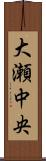 大瀬中央 Scroll