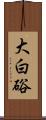 大白硲 Scroll