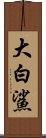 大白鯊 Scroll