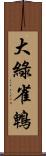 大綠雀鵯 Scroll